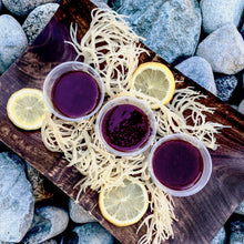 Load image into Gallery viewer, Wildcrafted Sea Moss Nutri-Shots -You Pick

